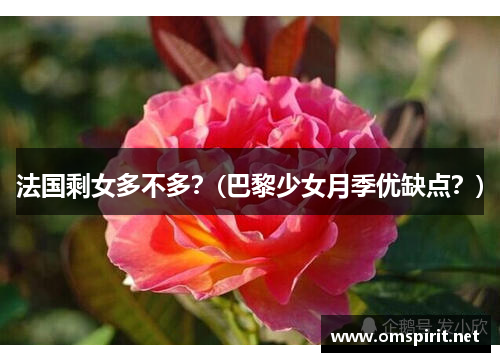 法国剩女多不多？(巴黎少女月季优缺点？)