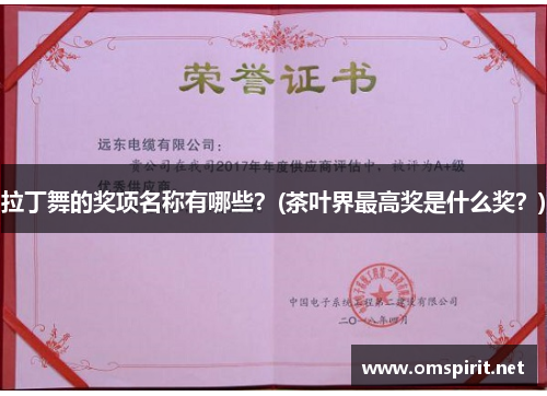 拉丁舞的奖项名称有哪些？(茶叶界最高奖是什么奖？)
