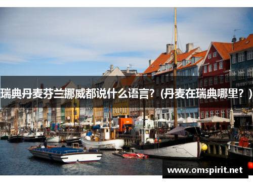瑞典丹麦芬兰挪威都说什么语言？(丹麦在瑞典哪里？)